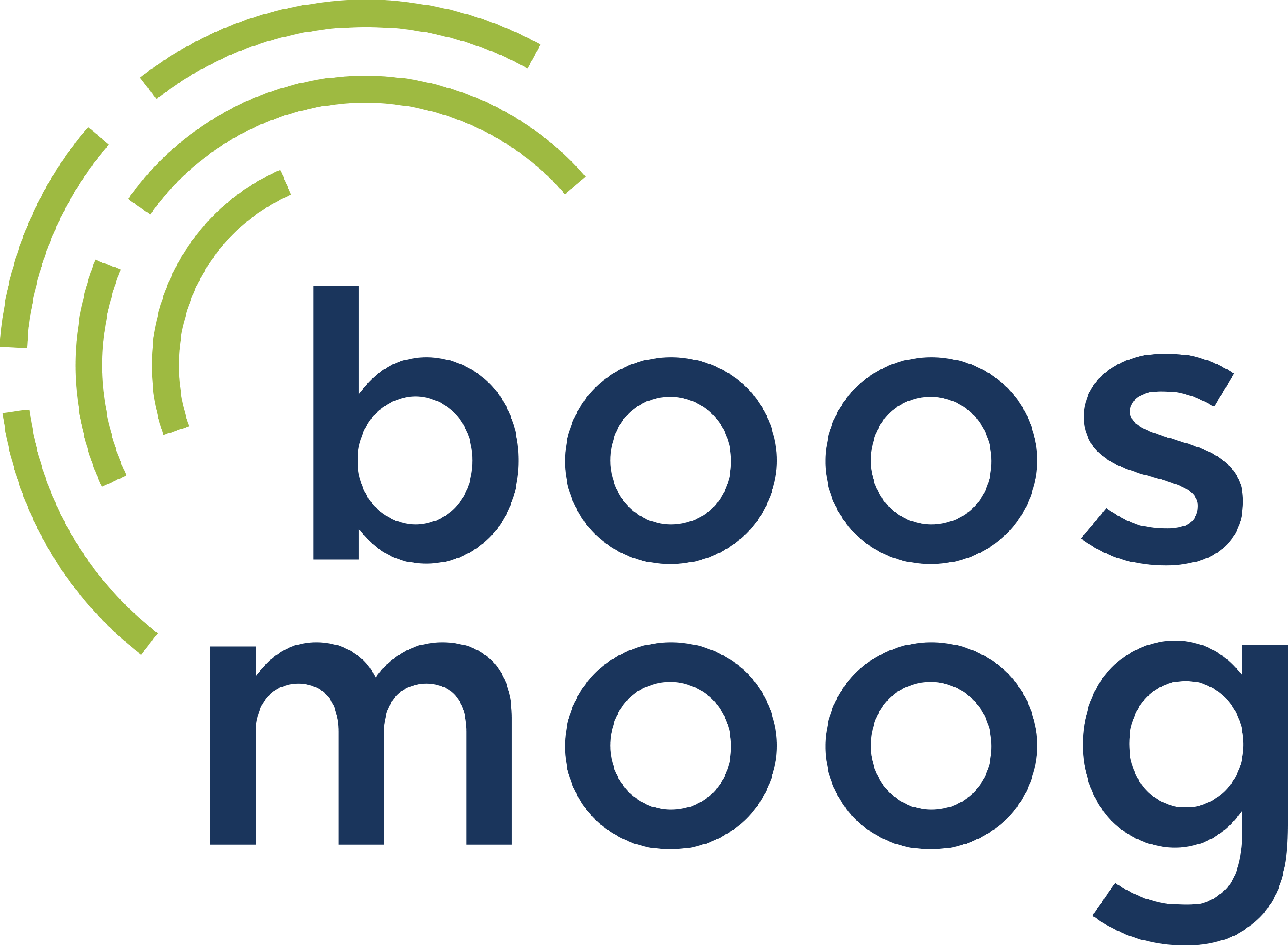 Boos Moog